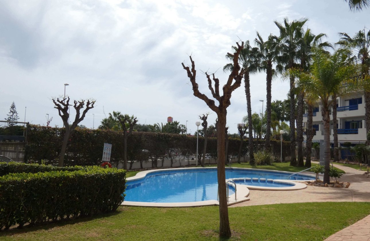 Alquiler para invierno - Apartamento / piso -
Orihuela Costa - Playa Flamenca