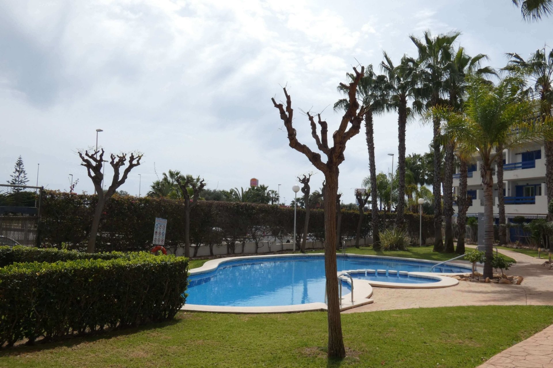 Alquiler para invierno - Apartamento / piso -
Orihuela Costa - Playa Flamenca