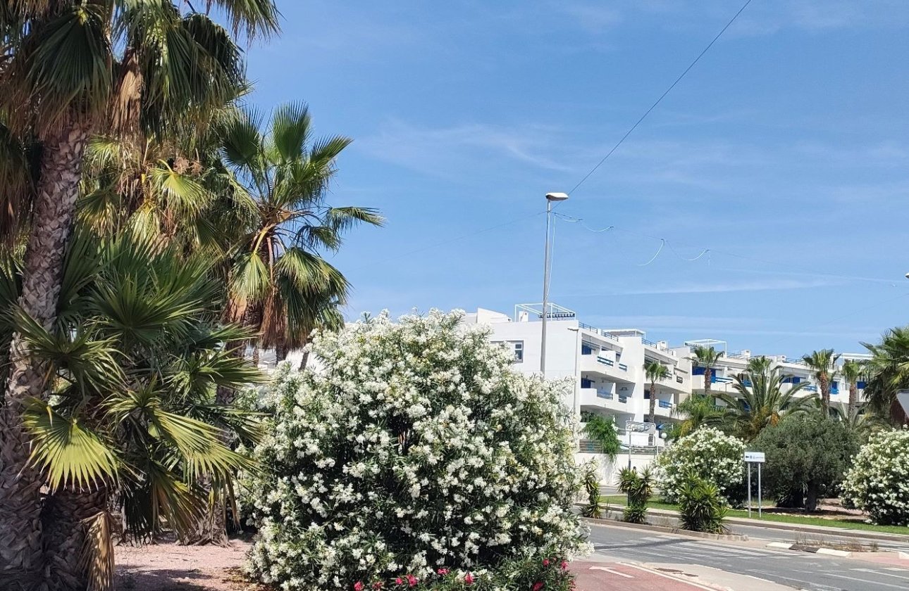 Alquiler para invierno - Apartamento / piso -
Orihuela Costa - Playa Flamenca