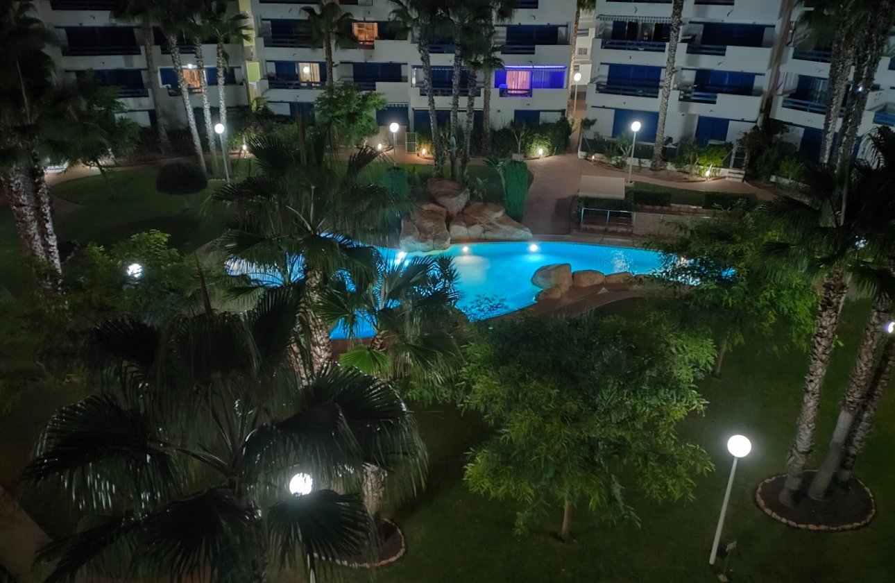 Alquiler para invierno - Apartamento / piso -
Orihuela Costa - Playa Flamenca