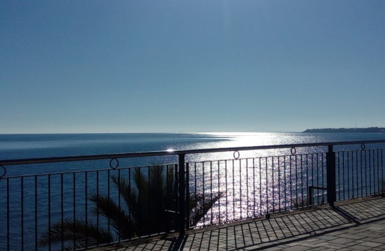 Alquiler para invierno - Apartamento / piso -
Orihuela Costa - Playa Flamenca