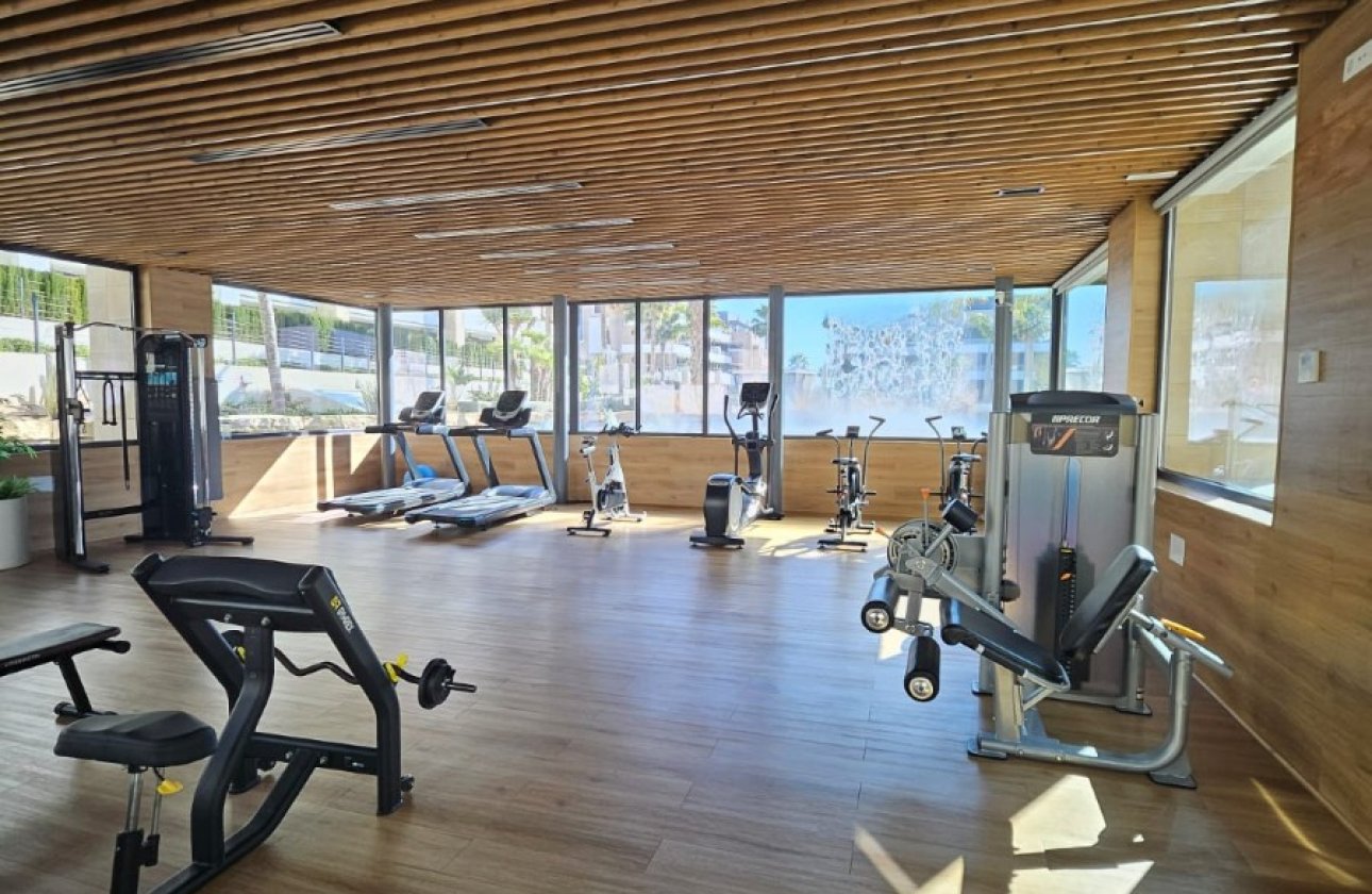 Alquiler para invierno - Apartamento / piso -
Orihuela Costa - Playa Flamenca