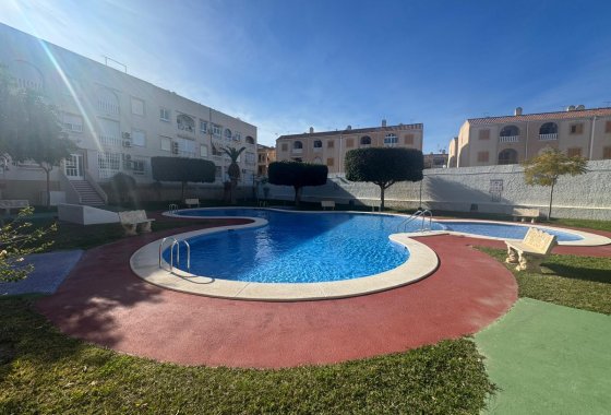 Apartamento - Használt ingatlanok - Torrevieja - Playa del Acequión