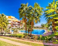 Apartamento / piso - Alquiler para invierno -
                Orihuela Costa - LAC688