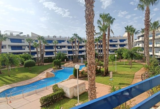 Apartamento / piso - Alquiler para invierno - Orihuela Costa - Playa Flamenca