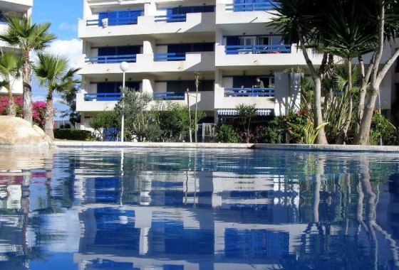 Apartamento / piso - Alquiler para invierno - Orihuela Costa - Playa Flamenca