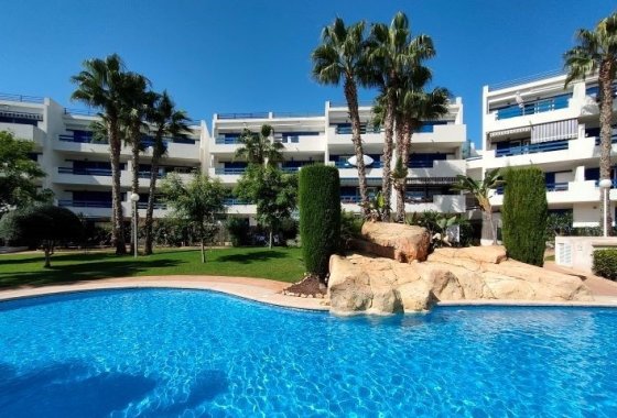 Apartamento / piso - Alquiler para invierno - Orihuela Costa - Playa Flamenca