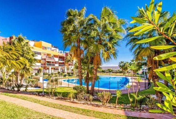 Apartamento / piso - Alquiler para invierno - Orihuela Costa -
                Playa Flamenca
