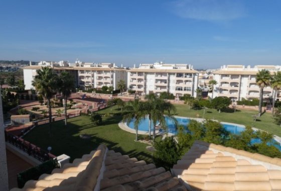 Apartamento / piso - Alquiler para invierno - Orihuela Costa -
                Playa Flamenca