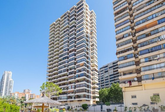 Apartamento / piso - Reventa - Benidorm - Benidorm Centro