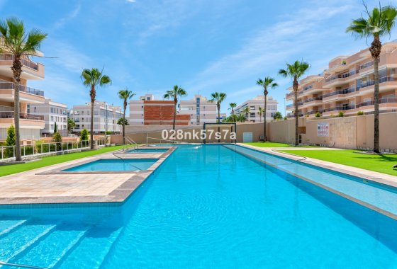 Apartamento / piso - Reventa - Orihuela - Los Dolses