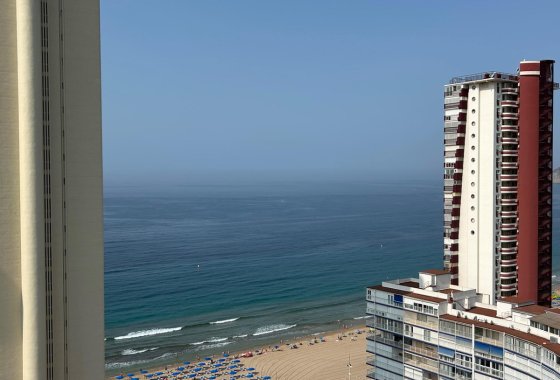 Apartman / lakás - Használt ingatlanok - Benidorm - Benidorm Centro