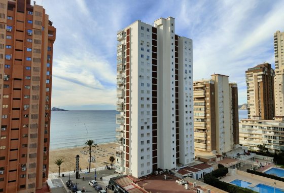 Apartman / lakás - Használt ingatlanok - Benidorm - Benidorm Centro