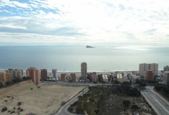 Apartman / lakás - Használt ingatlanok - Benidorm - Benidorm Centro