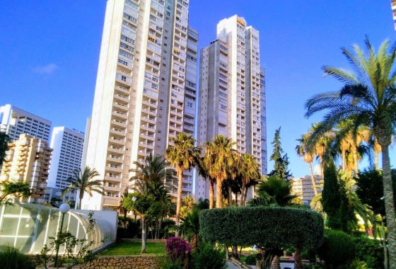 Apartman / lakás - Használt ingatlanok - Benidorm - Benidorm Centro