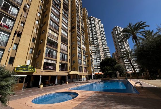 Apartman / lakás - Használt ingatlanok - Benidorm - Benidorm Centro