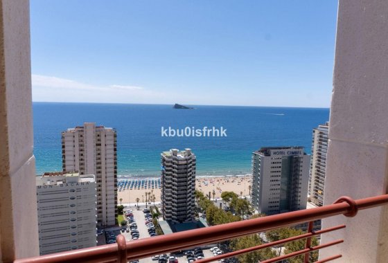 Apartman / lakás - Használt ingatlanok - Benidorm - Benidorm Centro