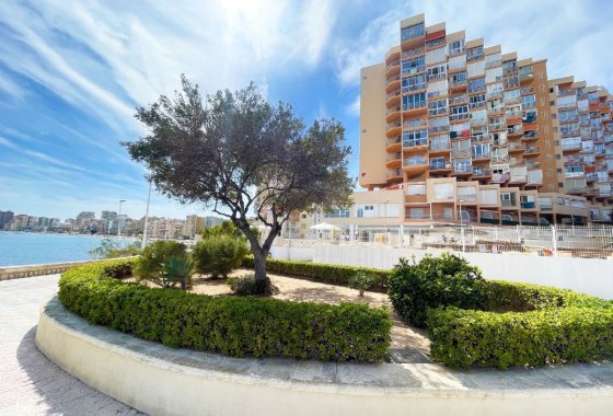 Apartman / lakás - Használt ingatlanok - Calpe - Calpe Centro