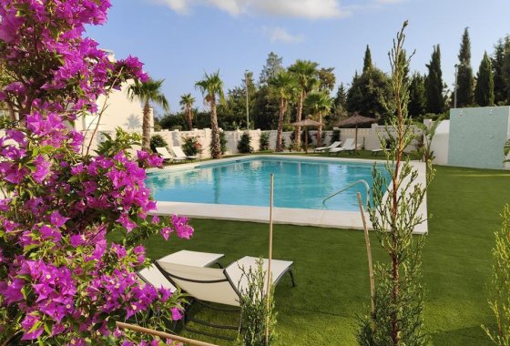 Apartman / lakás - Használt ingatlanok - Denia - Denia Centro