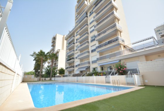 Apartman / lakás - Használt ingatlanok - Guardamar del Segura - Guardamar del Segura Centro