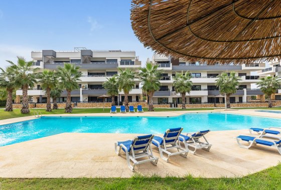 Apartman / lakás - Használt ingatlanok - Orihuela -
                Orihuela Centro