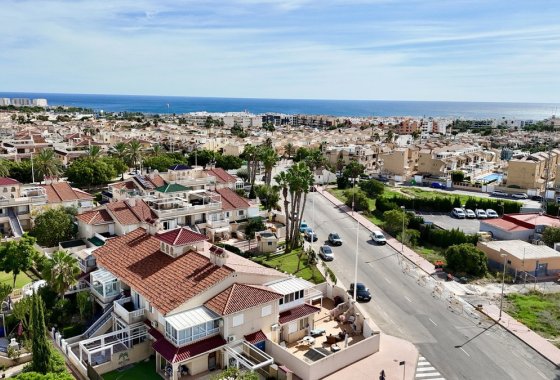 Apartman / lakás - Használt ingatlanok - Orihuela - Playa Flamenca