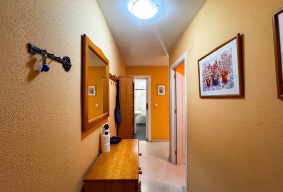 Apartman / lakás - Használt ingatlanok - Torrevieja - La Mata