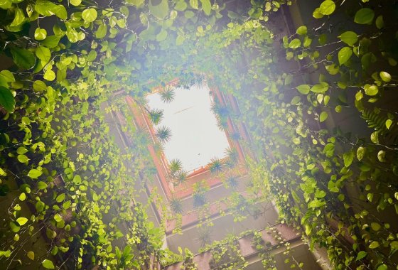 Apartman / lakás - Használt ingatlanok - Torrevieja - Torrevieja Centro