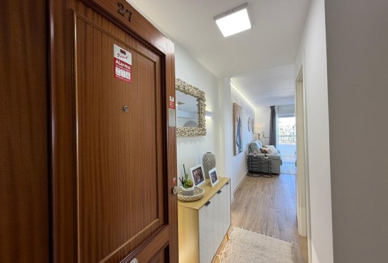 Apartman / lakás - Használt ingatlanok - Torrevieja - Torrevieja Centro