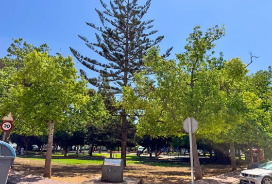 Apartman / lakás - Használt ingatlanok - Torrevieja - Torrevieja Centro