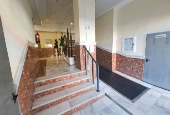 Apartman / lakás - Használt ingatlanok - Torrevieja - Torrevieja Centro