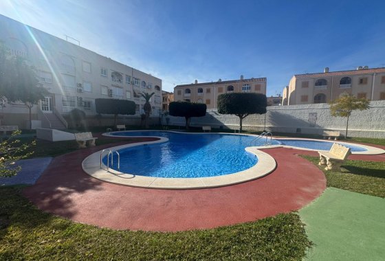 Apartman / lakás - Használt ingatlanok - Torrevieja - Torrevieja Centro