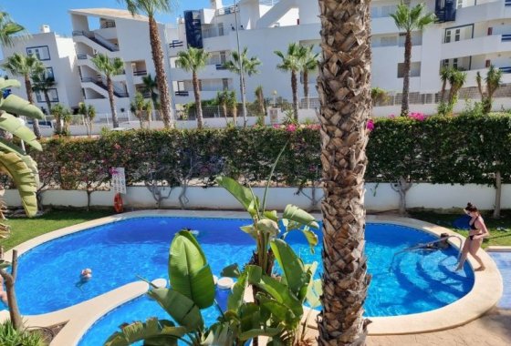 Apartman / lakás - Téli bérlés - Orihuela Costa - Playa Flamenca