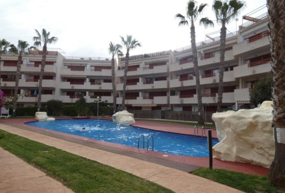 Apartman / lakás - Téli bérlés - Orihuela Costa -
                Playa Flamenca