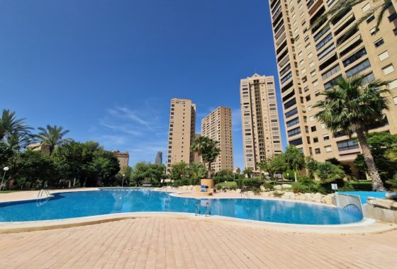 Apartment / flat - Resale - Benidorm - Benidorm Centro