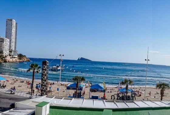 Apartment / flat - Resale - Benidorm - Benidorm Centro