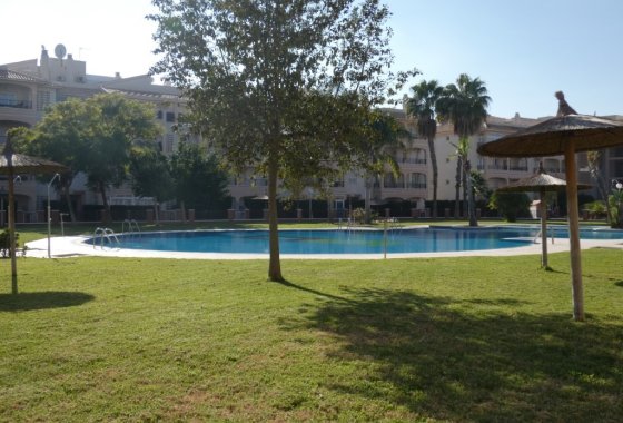 Apartment / flat - Resale - Orihuela -
                Playa Flamenca