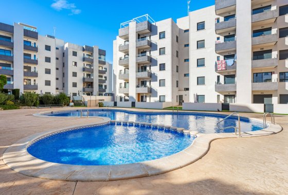 Apartment / flat - Resale - San Miguel de Salinas - San Miguel