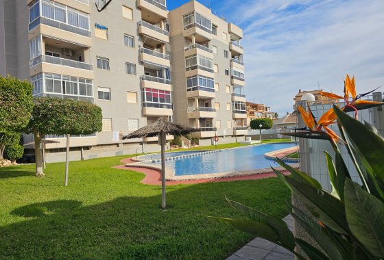 Apartment / flat - Resale - Torrevieja - Torrevieja Centro