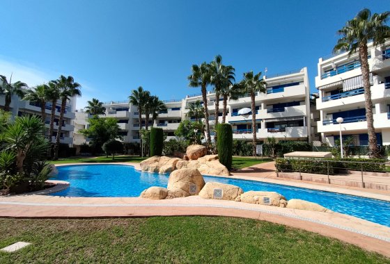 Apartment / flat - Winter rental - Orihuela Costa - Playa Flamenca