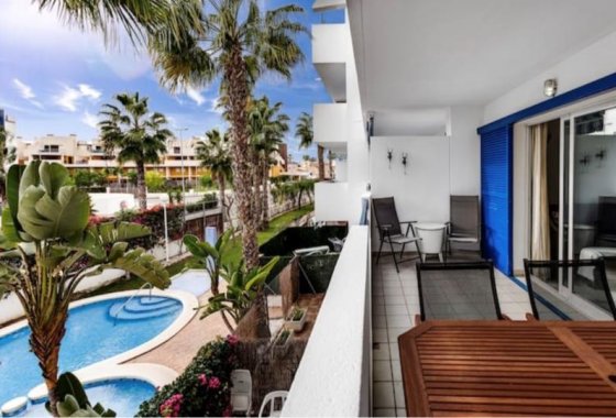 Apartment / flat - Winter rental - Orihuela Costa - Playa Flamenca