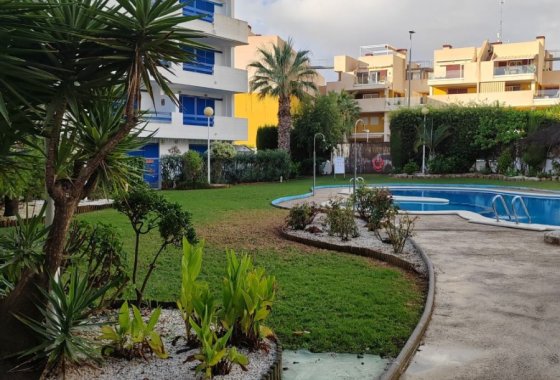 Apartment / flat - Winter rental - Orihuela Costa -
                Playa Flamenca