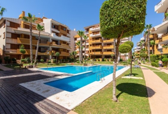 Apartment / flat - Winter rental - Orihuela Costa -
                Punta Prima