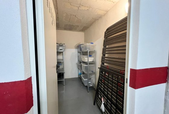 Commercial property - Használt ingatlanok - Torrevieja - Torrevieja Centro