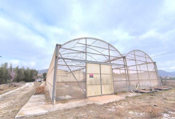 Commercial property - Resale - Aspe -
                Aspe Centro