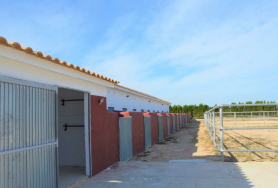 Commercial property - Resale - San Miguel de Salinas - San Miguel de Salinas Centro