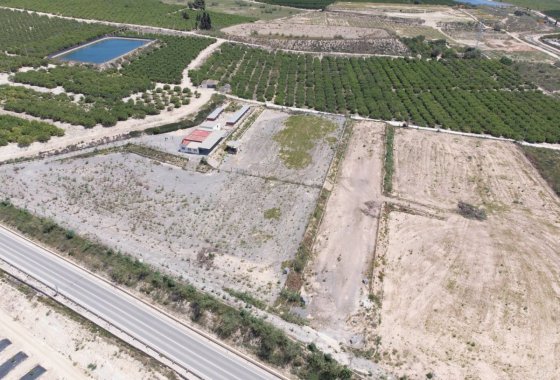 country house - Használt ingatlanok - Los Montesinos - Los Montesinos Centro