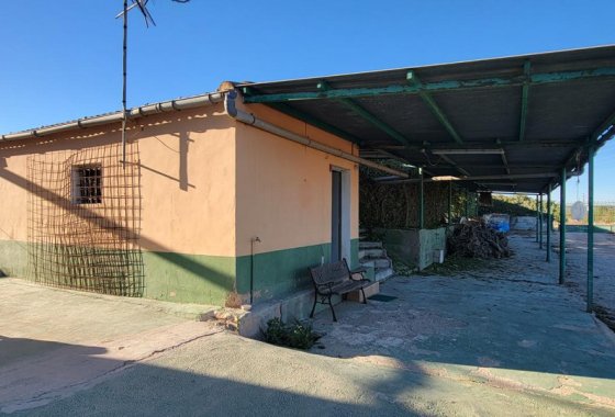 country house - Használt ingatlanok - San Miguel de Salinas - San Miguel de Salinas Centro