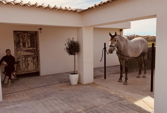 country house - Reventa - Algorfa - Algorfa Centro