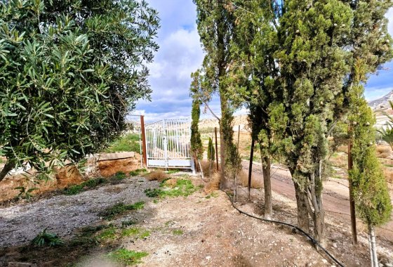 country house - Reventa - Novelda - Novelda Centro